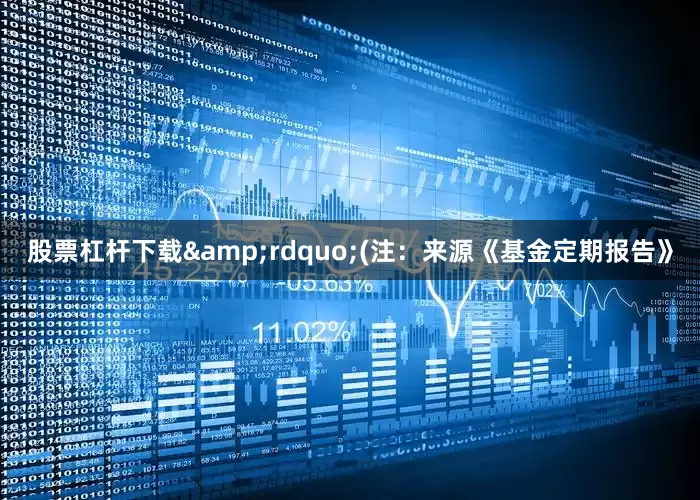 股票杠杆下载&rdquo;(注：来源《基金定期报告》