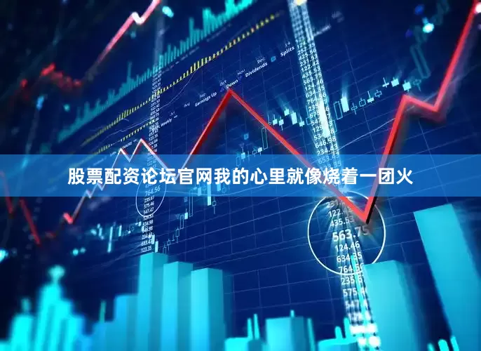 股票配资论坛官网我的心里就像烧着一团火