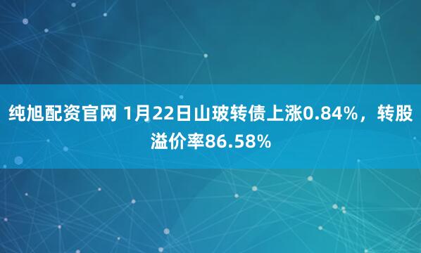 纯旭配资官网 1月22日山玻转债上涨0.84%，转股溢价率86.58%